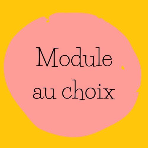 Module au choix